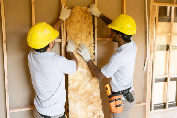 Best Blown-in Insulation  in Trion, GA