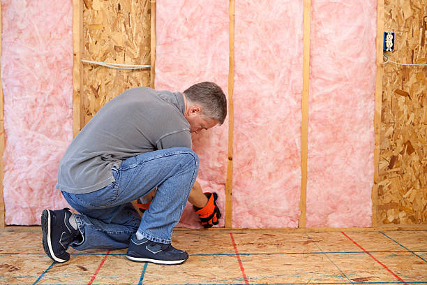 Best Garage Insulation Installation  in Trion, GA
